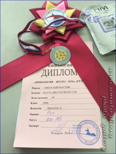 dipl_100416_star.jpg